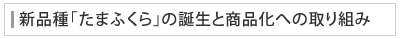 新品種「たまふくら」の誕生と商品化への取り組み