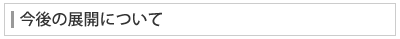 今後の展開について