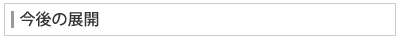 今後の展開